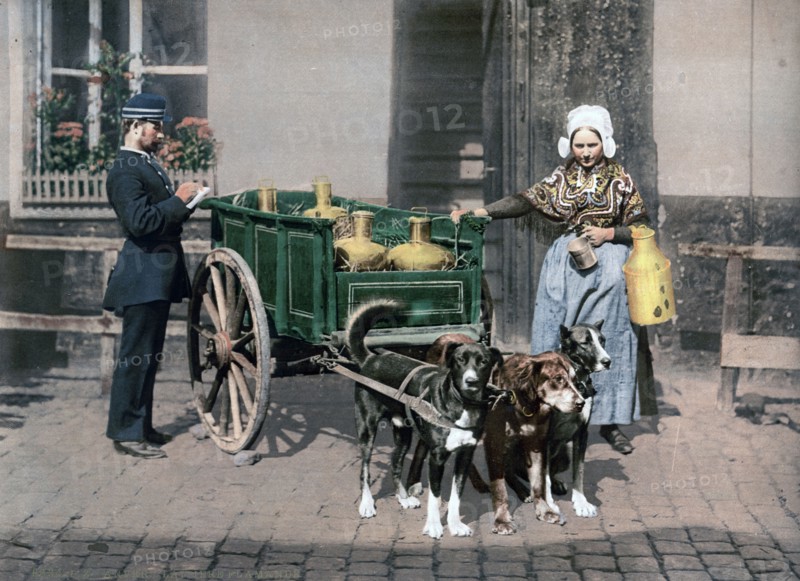 Flemish milk peddler standing next to her cart