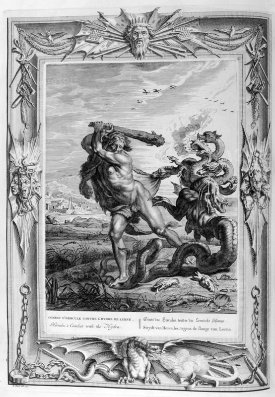 Hercules slays the Hydra