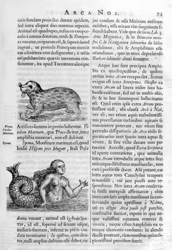 Mythical beasts, from Arca Noe,