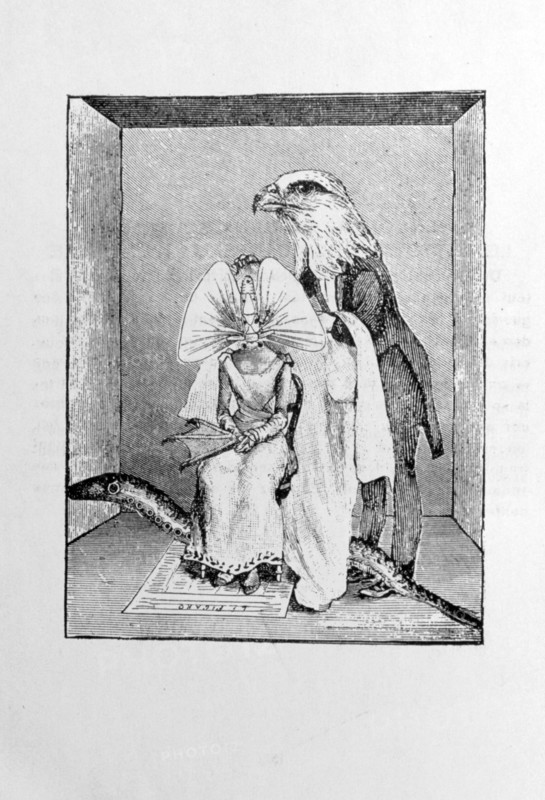 Illustration and text from 'Les malheurs des immortels'