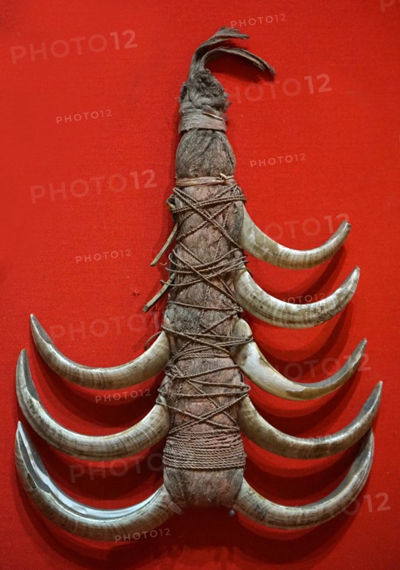 Decoration from a necklace made from Boars teeth, worn by men of high status in Papua New Guinea, Circa 1900