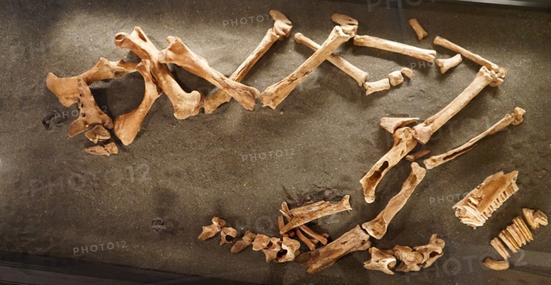 Grave site of an Icelandic man and his horse
