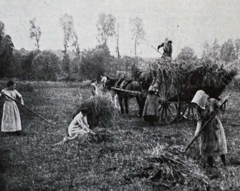 Photograph of female farm hands in Mosson, a commune in the Côte-d'Or department in eastern France