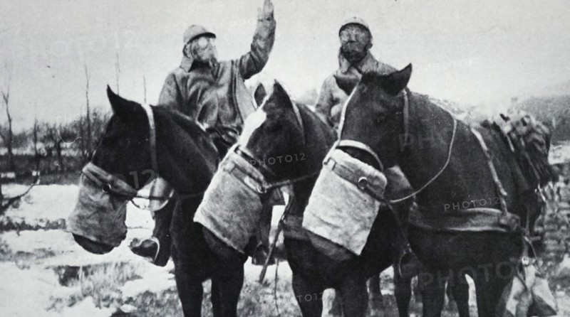 Photograph of soldiers and their horses wearing gas masks during the First World War