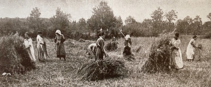 Photograph of female farm hands in Mosson, a commune in the Côte-d'Or department in eastern France