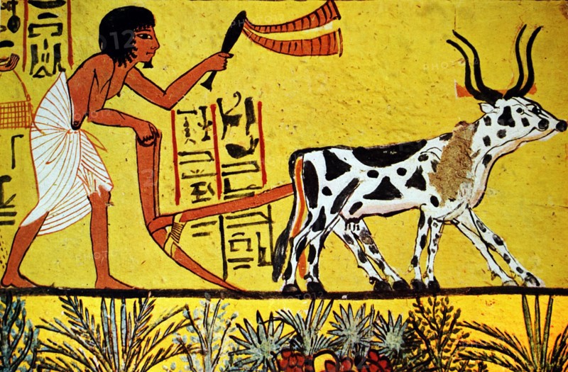 Fresco depicting an agricultural scene from an ancient Egyptian tomb