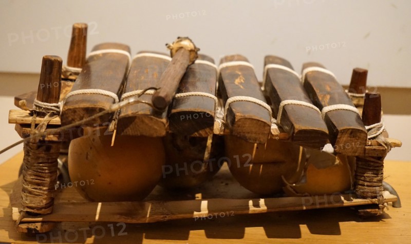 A Balafon, which is an instrument similar to a Xylophone, but it has gourds which make the sound resonate