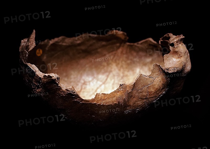 Skull cap of a male which has cannibalised marks found at Gough's Cave, England