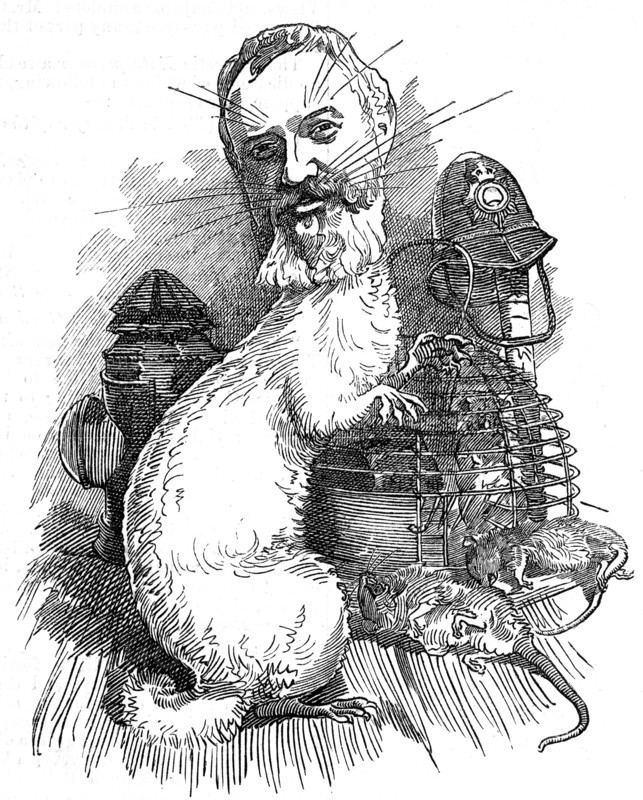 Cartoon in Punch magazine 1883, showing Frederick Adolphus 'Dolly' Williamson