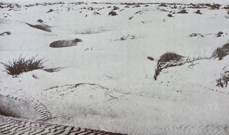1908 photograph of sands on the site of the city of Tel Aviv in Israel was founded in Ottoman ruled Palatine in 1909