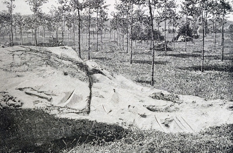 A netting spread on the ground which was used to capture falling olives in a Mediterranean olive grove