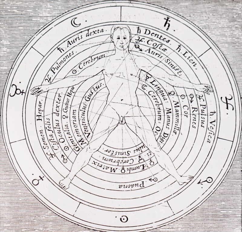 The organs of the body and the planets influences on them by Robert Fludd