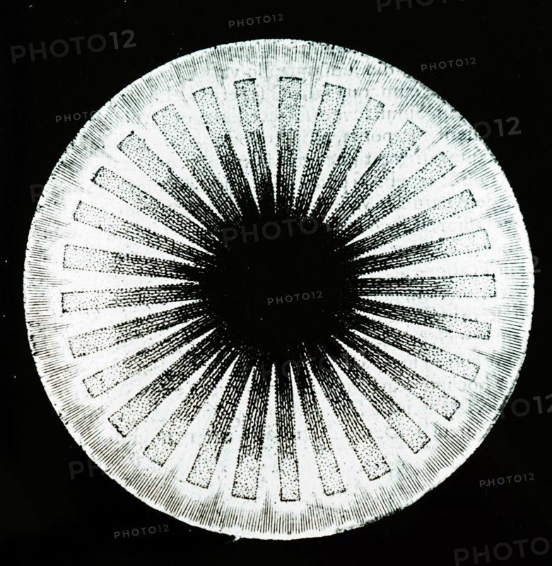 The first appearance of divine light in the darkness that existed in the beginning by Robert Fludd