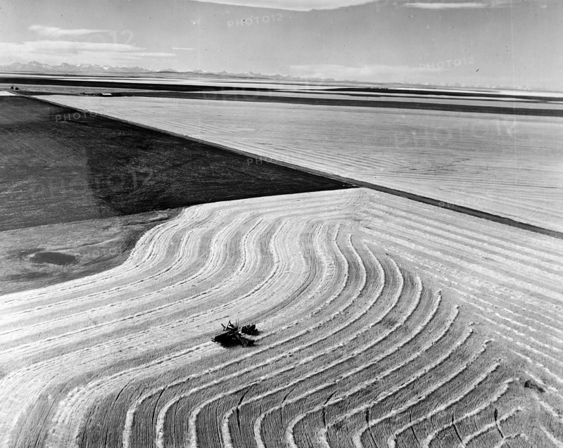 Photograph depicting wheat fields in Alberta with the Rocky Mountains in the background