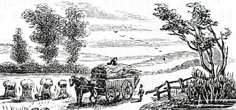 The carting of corn stalks to be stored