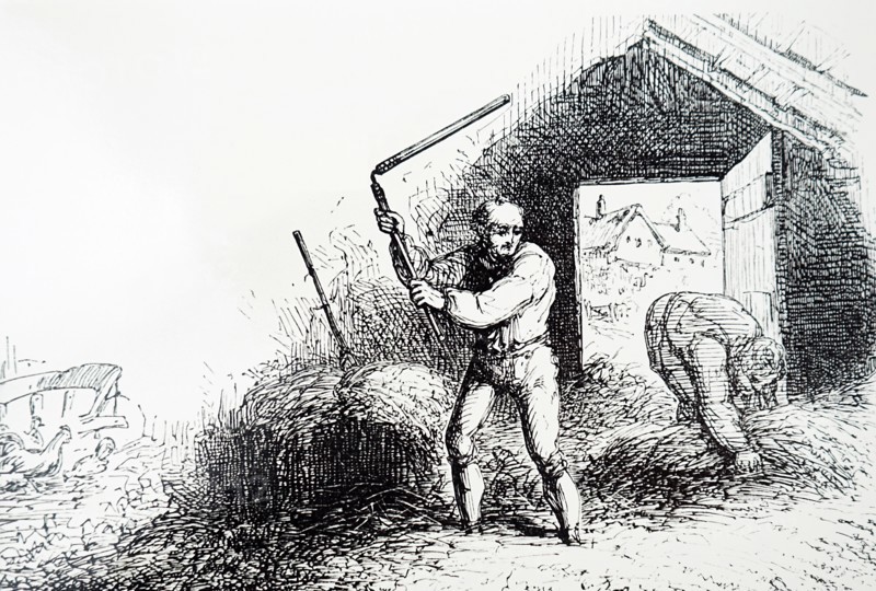 The threshing of corn, on a threshing floor, using a hand flail