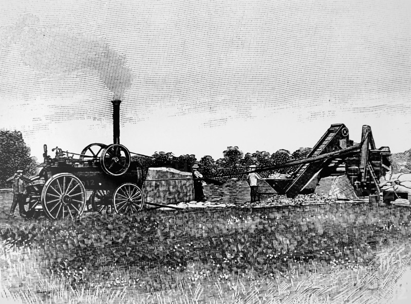 A steam driven threshing machine