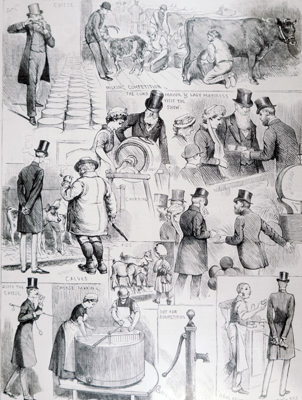 Scenes from the dairy show at the Agricultural Hall in Islington, held by the British Dairy Farmer's Association