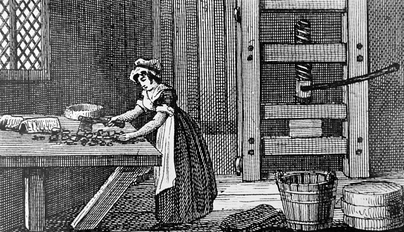 Engraving depicting the cutting up of curds to make Cheshire cheese