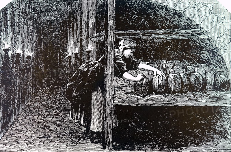 The turning of Roquefort cheeses in the caves where they matured
