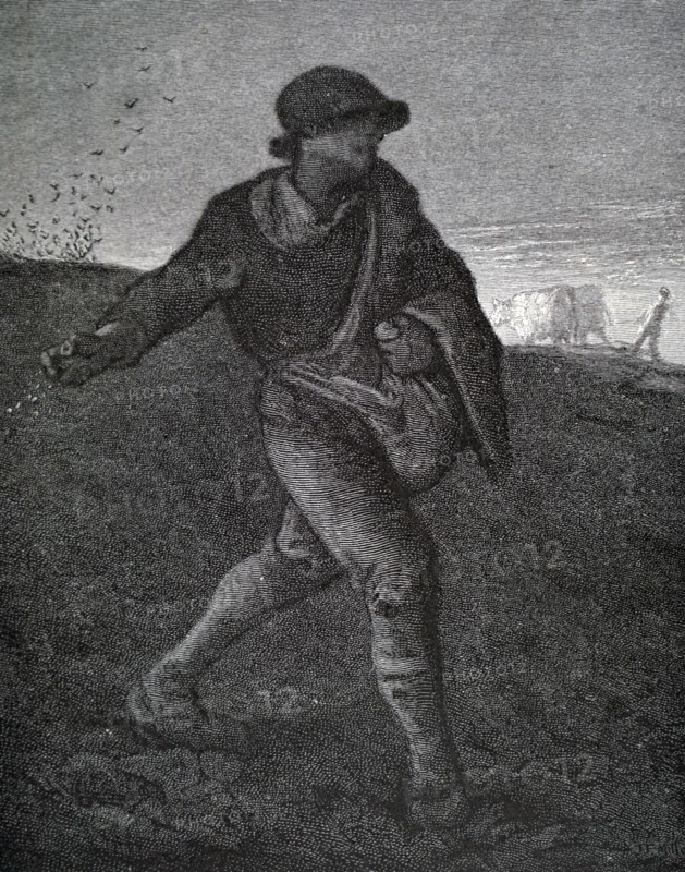 Print of the painting titled 'The Sower' by Jean-François Millet
