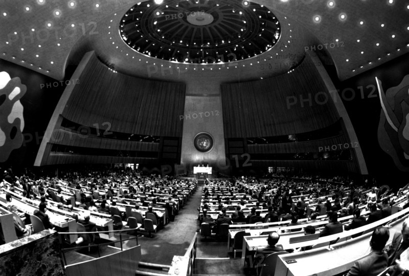 Photograph taken during a session of the United Nations General Assembly