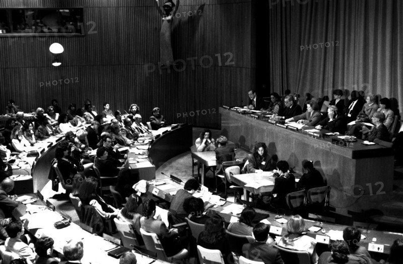 Photograph taken during a session of the United Nations General Assembly