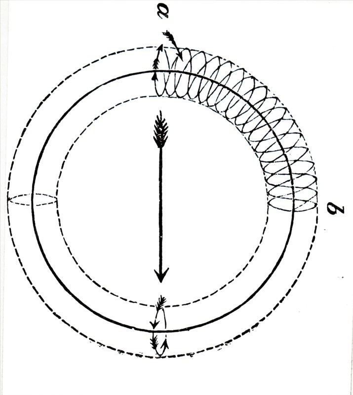 The studying of vortex rings