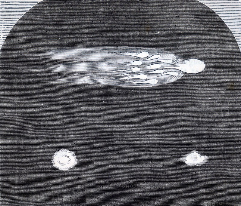 A meteor flying over England