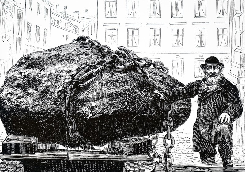 A meteorite found by Adolf Erik Nordenskiöld