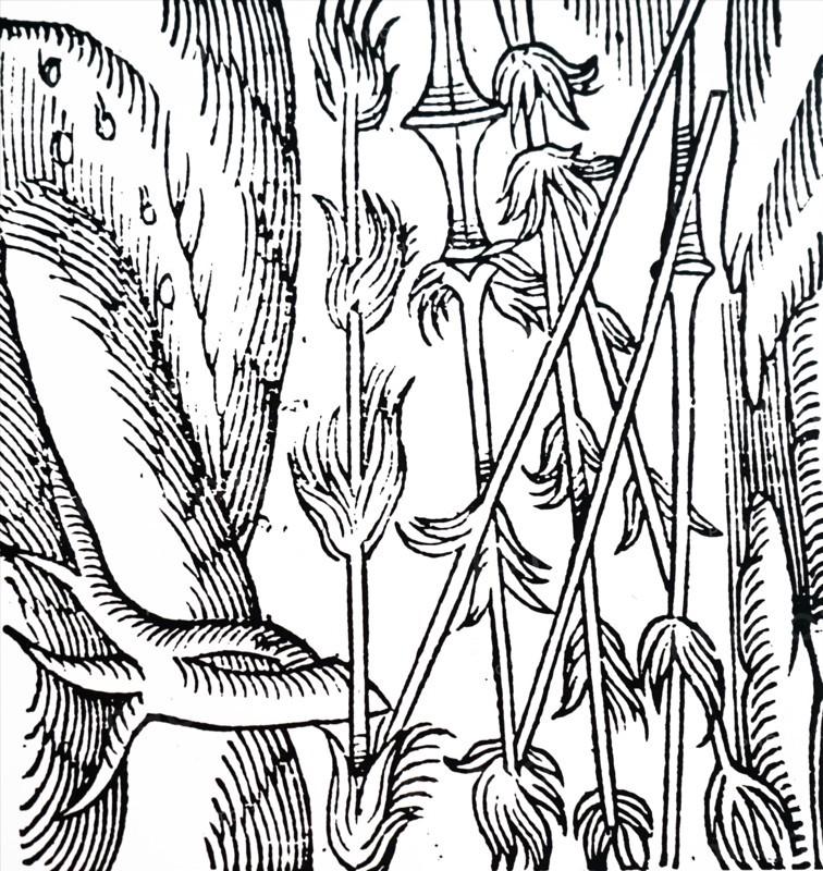 An ancient meteor shower shown as fiery lances