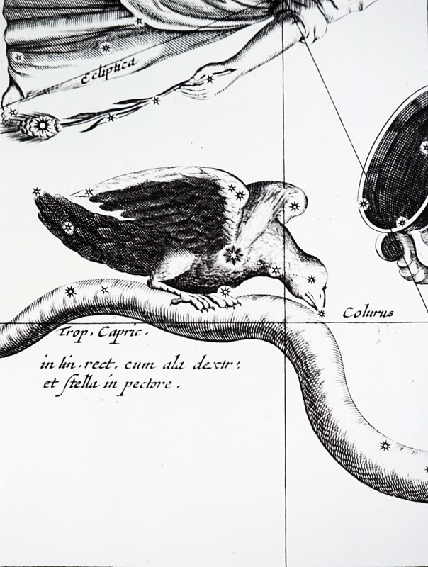 Observations from the Johannes Hevelius's observatory at Gansk