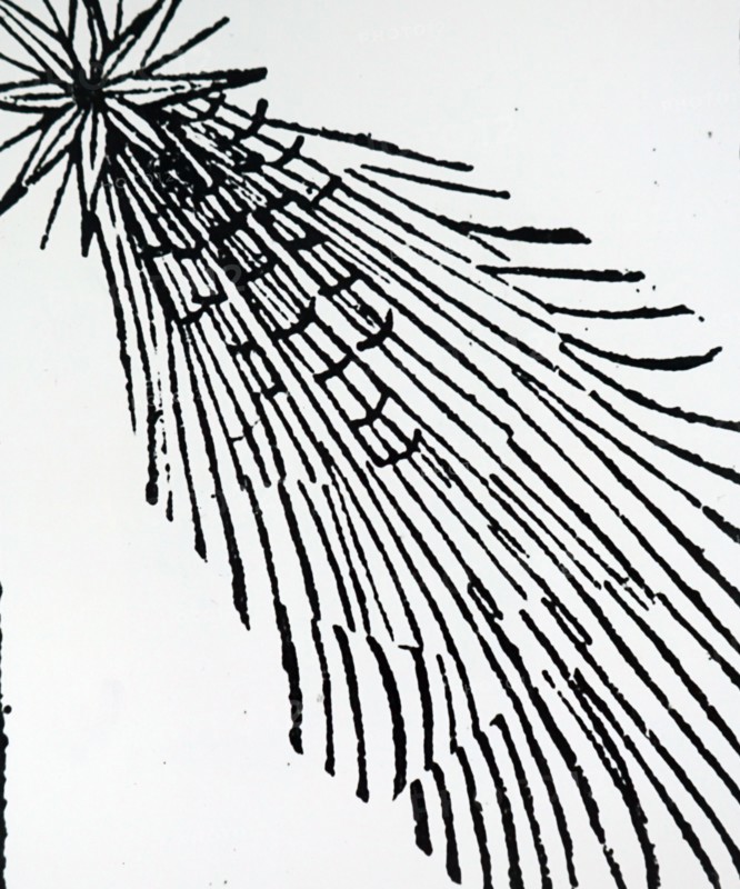 A bright comet flying over Europe during the 14th Century