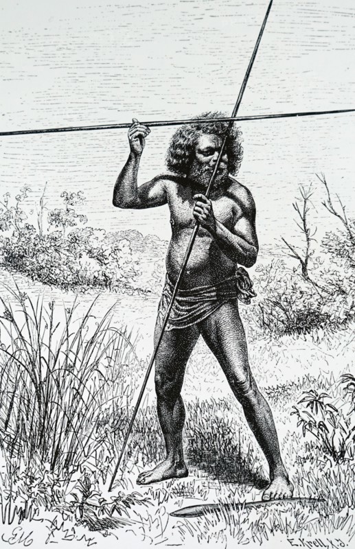Engraving of a native Australian