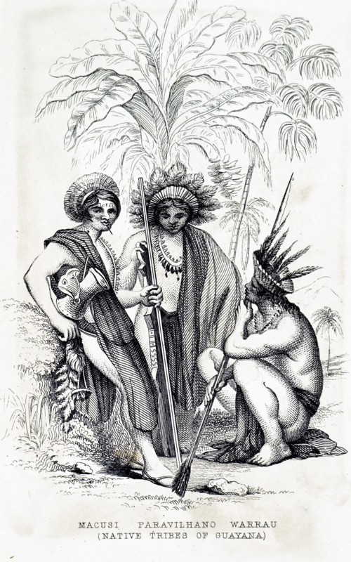 An Island Carib, also known as a Kalinago or a Carib, is an indigenous person of the Lesser Antilles in the Caribbean