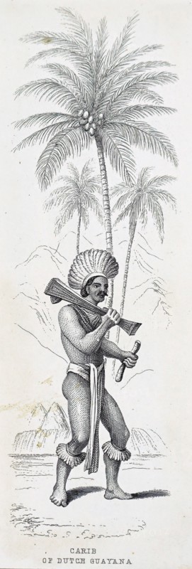 An Island Carib, also known as a Kalinago or a Carib, is an indigenous person of the Lesser Antilles in the Caribbean