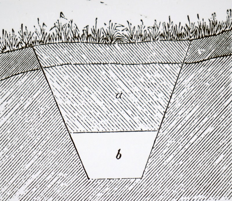 A drain covered in grass