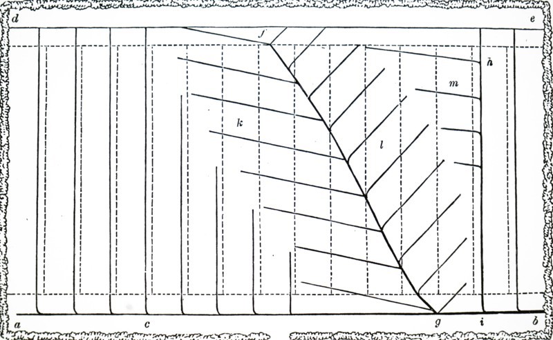 A ground plan for drainage of a field