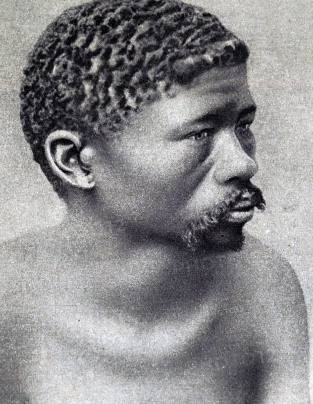 A bushman of South Africa