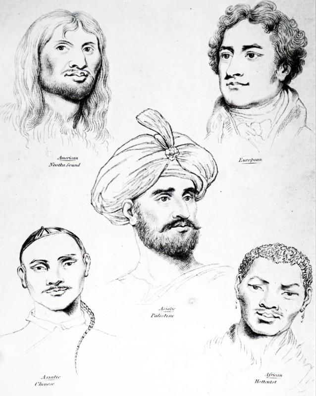 Profiles of different racial types