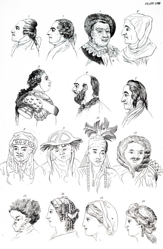 Profiles of different racial types