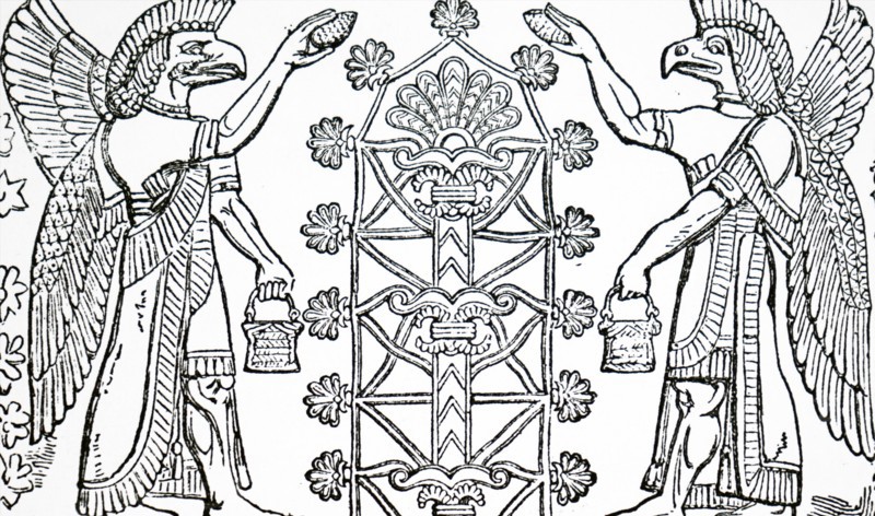 The Assyrian God Nisroch, the God of Agriculture