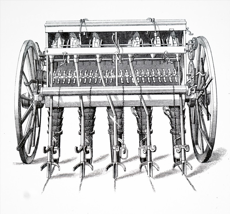 Moodie'S turnip drill