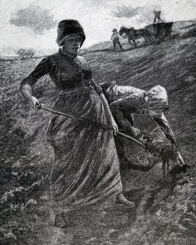 Women planting potatoes by hand