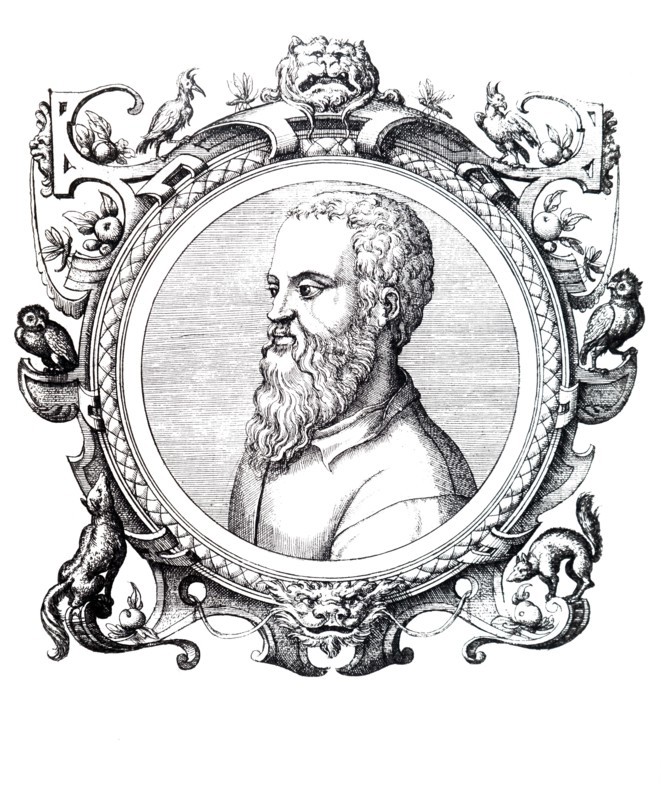 Portrait of Guillaume Rondelet