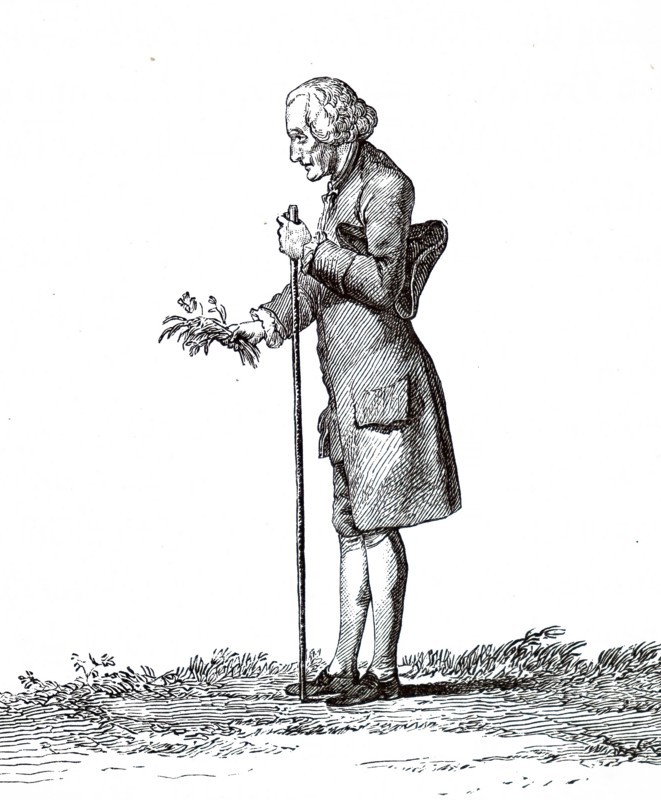 Portrait of Jean-Jacques Rousseau