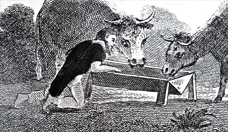 Mungo Park sharing the cattle's drinking water during his travels in Africa
