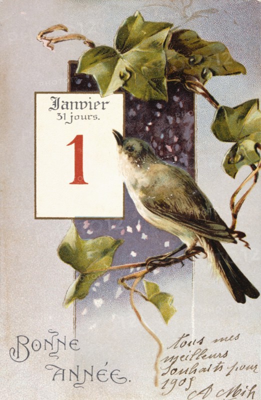 French Happy New Year, postcard depicting a bird on a branch, circa 1900