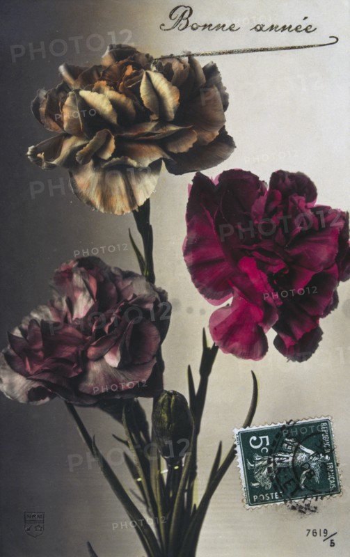 French Happy New Year, postcard with flowers