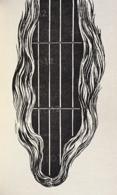 illustration from 'moralitie du someil'